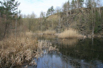 Pocinovice