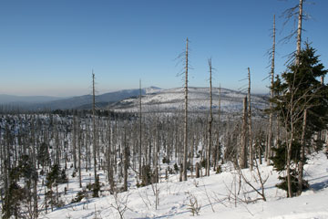 Šumava – Roklan